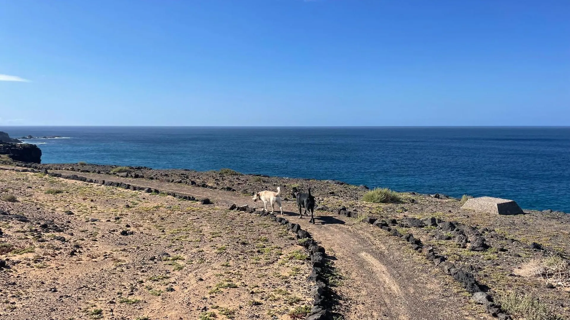 Casa Frida Διαμέρισμα Cotillo