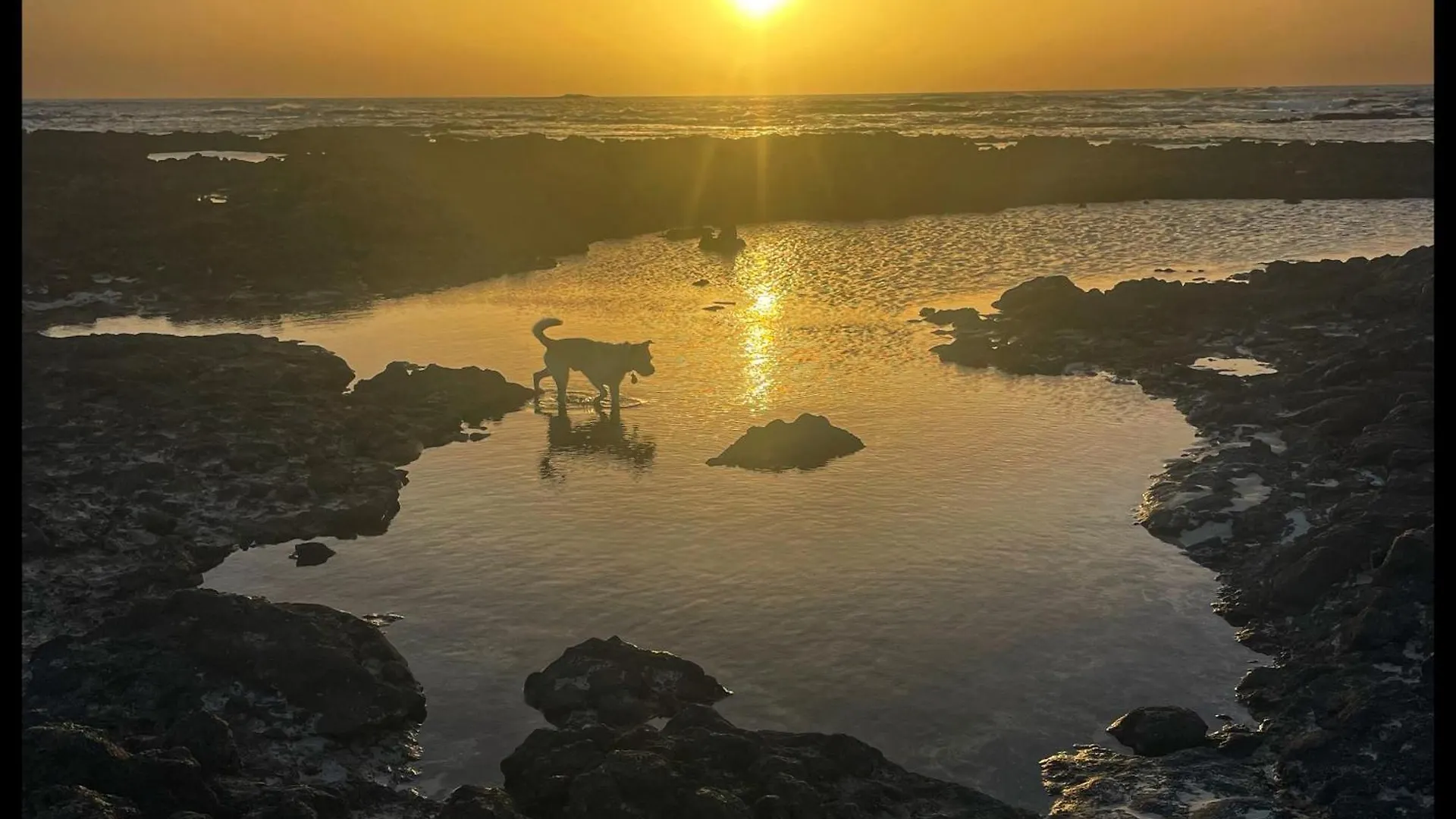 Casa Frida Διαμέρισμα Cotillo 0*,  Ισπανία